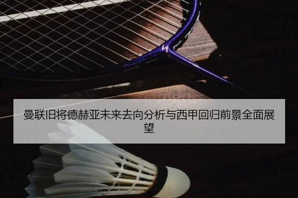 曼联旧将德赫亚未来去向分析与西甲回归前景全面展望（kaiyun）